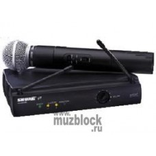 SHURE EUT24/58 - радиосистема профессиональная вокальная