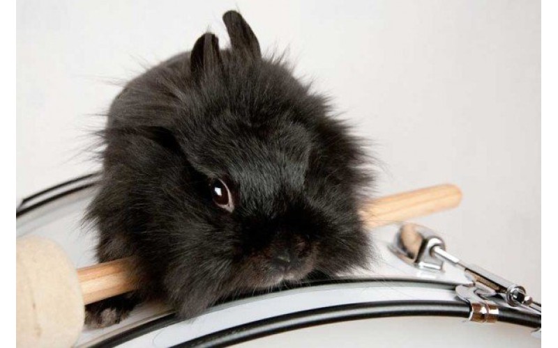 FLIGHT MBC-26 - маршевый бас-барабан 26