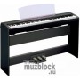 YAMAHA P85 - цифровое пианино (электропианино) 88 клавиш