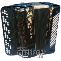 Тульская гармонь  - БН-21- Баян 64 х 120