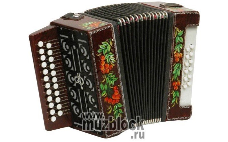 Тульская гармонь - ГН-9- Гармонь детсткая Сказка