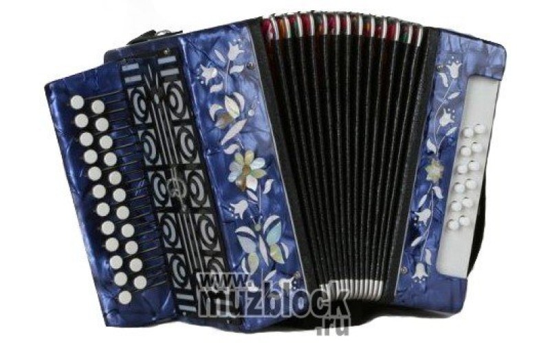 Тульская гармонь - ГН-9- Гармонь детсткая Сказка