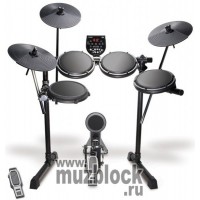 ALESIS DM6 USB Kit - электронная барабанная установка