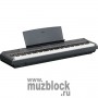 YAMAHA P-105B - компактное цифровое пианино (электропианино), 88 клавиш