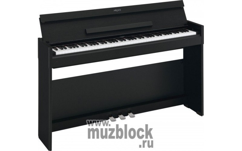 YAMAHA YDP-S51B ARIUS - цифровое пианино (электропианино), 88 клавиш, цвет - черный