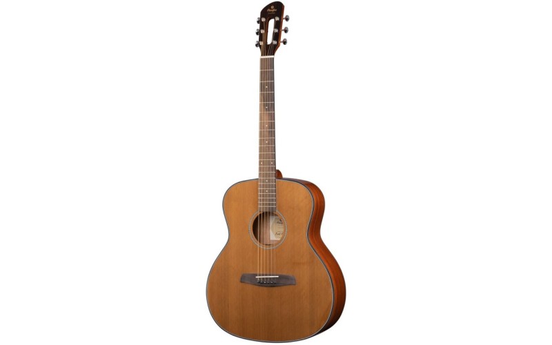 Prodipe JMFSGA200 Kopo Series SGA200 Акустическая гитара