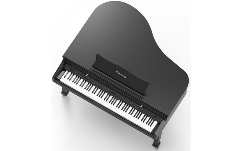 RINGWAY GDP6500 - Цифровой рояль