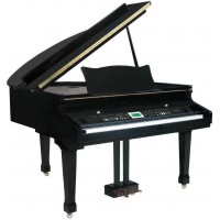 RINGWAY JMP805 Polish Black - цифровой рояль
