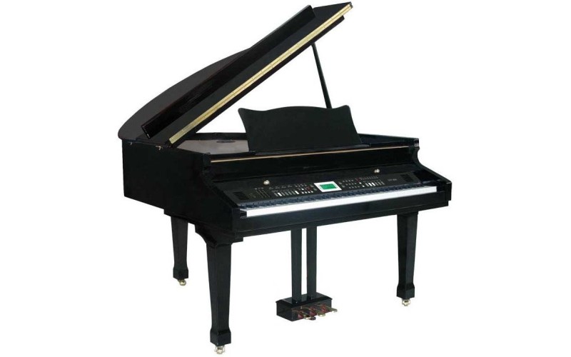 RINGWAY JMP805 Polish Black - цифровой рояль