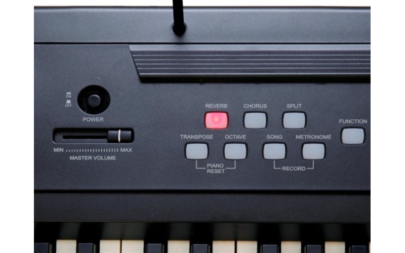 Ringway RP-20 Цифровое фортепиано. Клавиатура: 88 полноразмерных динамических молоточковых клавиш