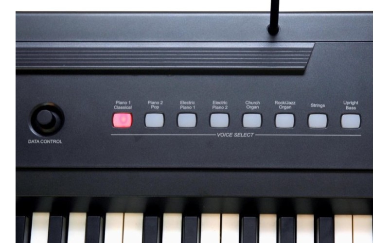 Ringway RP-20 Цифровое фортепиано. Клавиатура: 88 полноразмерных динамических молоточковых клавиш