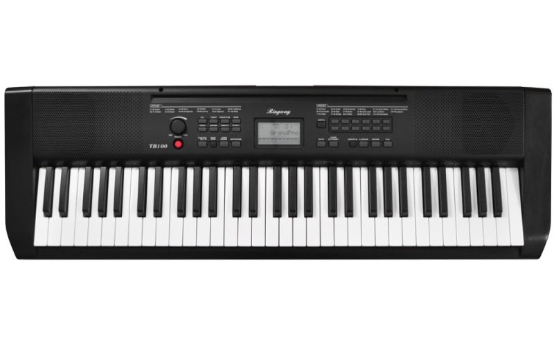 RINGWAY TB100 - Синтезатор, 61 динамическая клавиатура