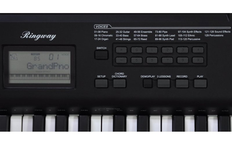 RINGWAY TB100 - Синтезатор, 61 динамическая клавиатура