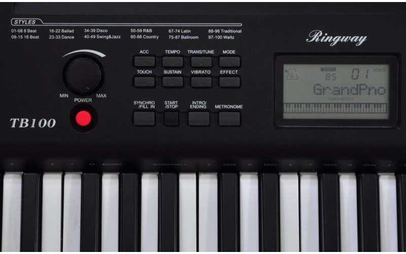 RINGWAY TB100 - Синтезатор, 61 динамическая клавиатура