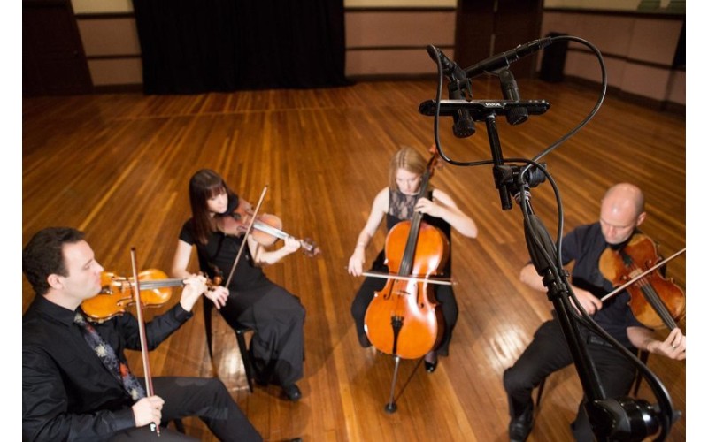 RODE M5MP подобранная стерео-пара микрофонов