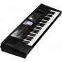 ROLAND BK-5 - синтезатор с автоаккомпанементом, 61кл