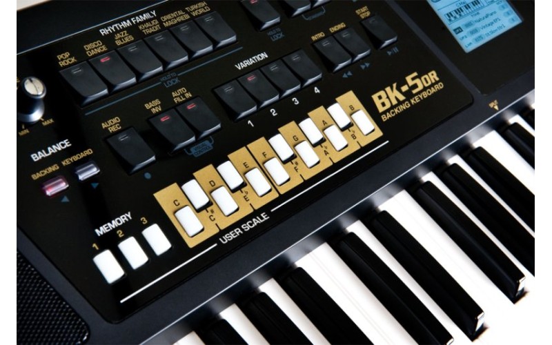 ROLAND BK-5 OR - синтезатор с автоаккомпанементом, 61кл