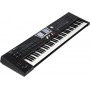 ROLAND BK-9 - синтезатор с автоаккомпанементом