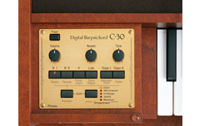 ROLAND C-30 +KSC-46 +BNC-29 - цифровой клавесин