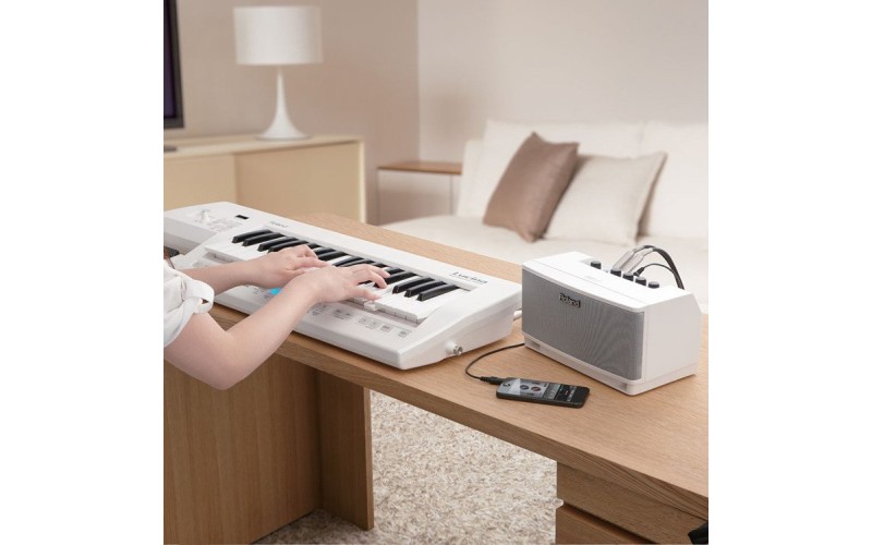 ROLAND CUBE-LM-WH Light Monitor - настольный универсальный монитор 2х3Вт + Sub 4Вт