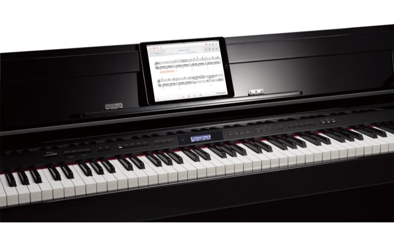 ROLAND DP603-PE - цифровое фортепиано