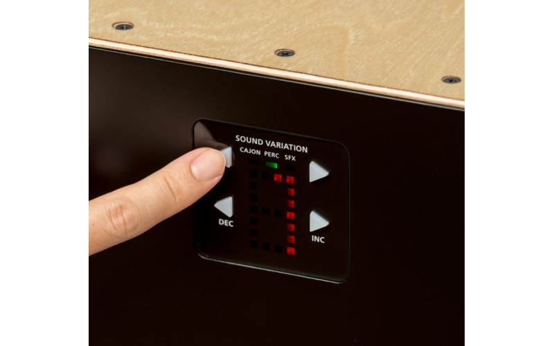 ROLAND EC-10 - Электронно-акустический кахон