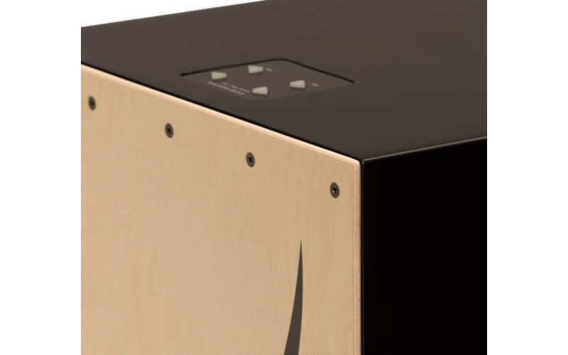 ROLAND EC-10 - Электронно-акустический кахон