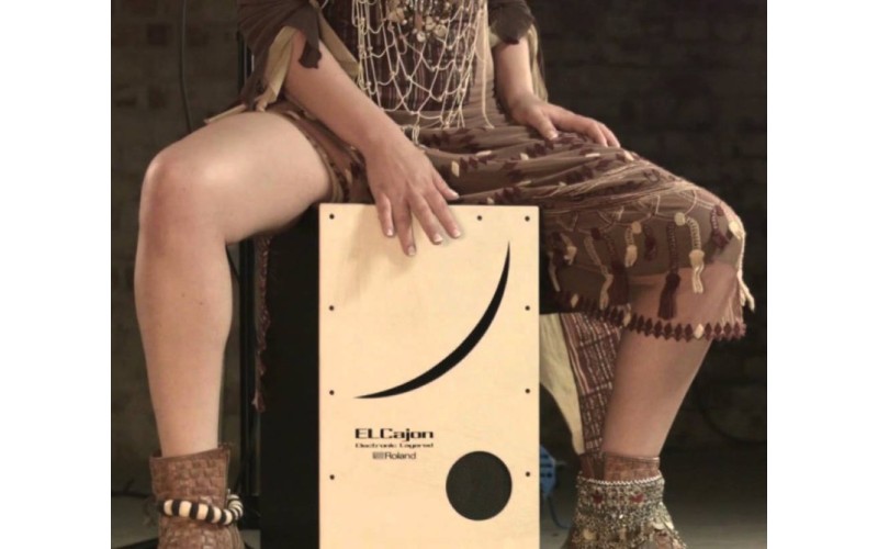 ROLAND EC-10 - Электронно-акустический кахон