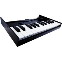 ROLAND K-25M - миди клавиатура