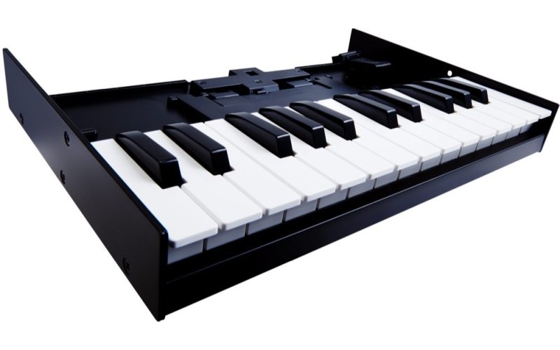 ROLAND K-25M - миди клавиатура