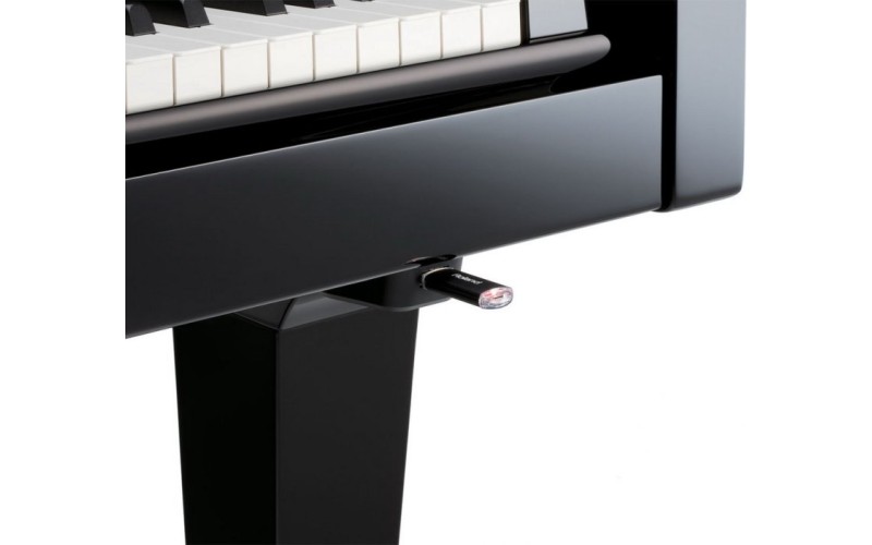 ROLAND RG-3F PE - цифровой рояль