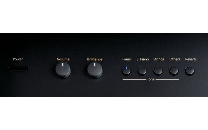 ROLAND RG-3F PE - цифровой рояль