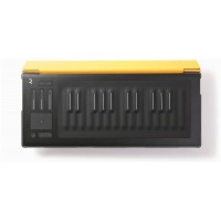ROLI FLIPCASE AMBER защитный кейс для RISE 25, цвет AMBER