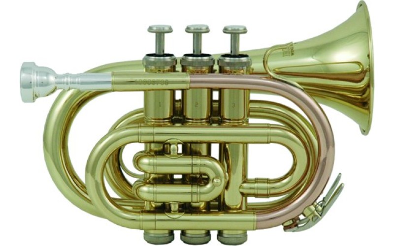 ROY BENSON PT-101 Bb - труба си бемоль, карманная