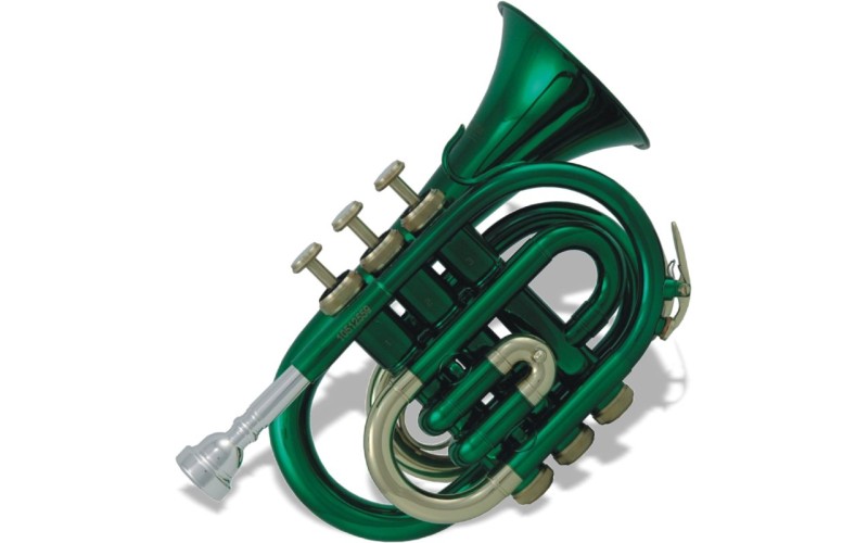 ROY BENSON PT-101E Bb - труба си бемоль, карманная, изумрудный лак