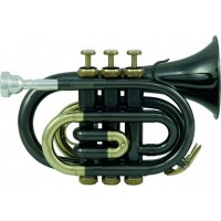 ROY BENSON PT-101K Bb - труба си бемоль, карманная, антрацитовый лак