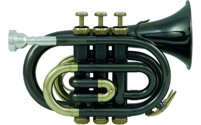 ROY BENSON PT-101K Bb - труба си бемоль, карманная, антрацитовый лак