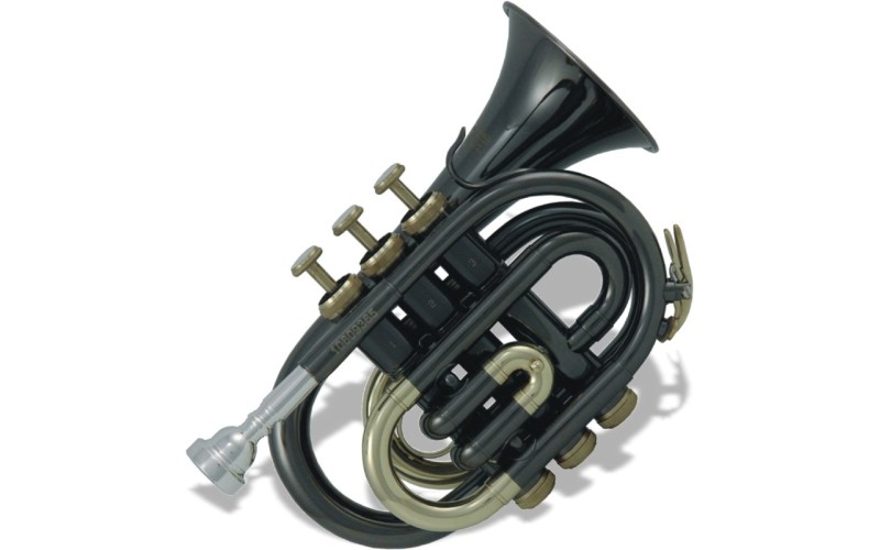 ROY BENSON PT-101K Bb - труба си бемоль, карманная, антрацитовый лак