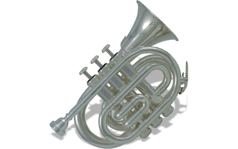 ROY BENSON PT-101S Bb - труба си бемоль, карманная