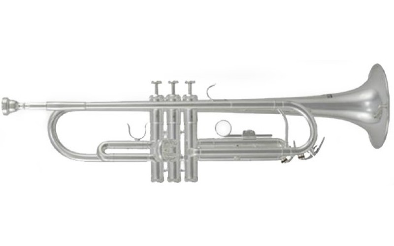 ROY BENSON TR-202S Bb - труба си бемоль