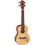 ORTEGA RU5 RU Series Spruce Укулеле концертный, матовый