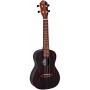 ORTEGA RUEB-CC Ebony Series Укулеле концертный, с чехлом