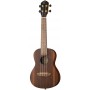 ORTEGA RUEB-CC Ebony Series Укулеле концертный, с чехлом