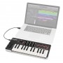 Samson Graphite M25 Mini USB/MIDI клавиатура