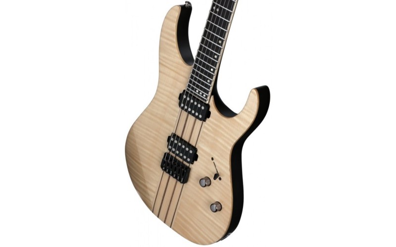 SCHECTER BANSHEE ELITE-6 GNAT - электрогитара