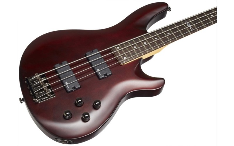 Schecter SGR C-4 BASS WSN - бас-гитара
