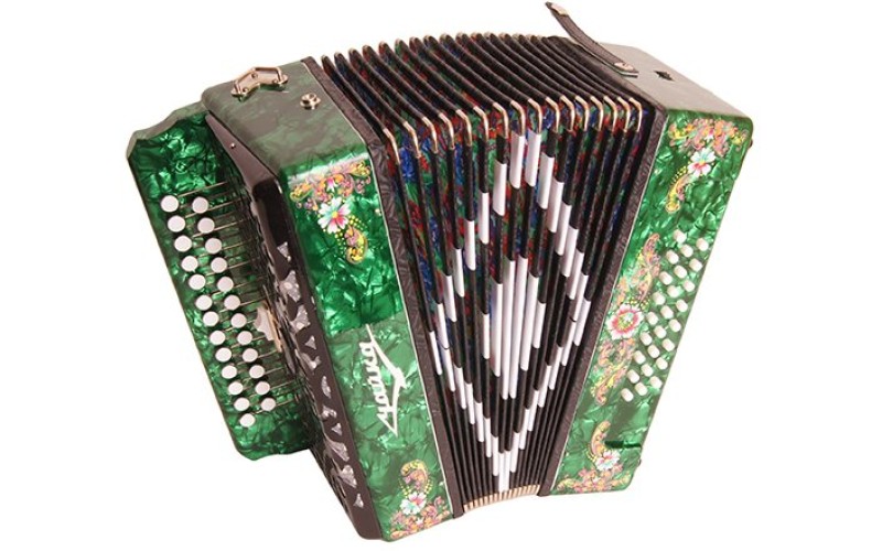 Шуйская Гармонь S5XLY-A-GR Гармонь 