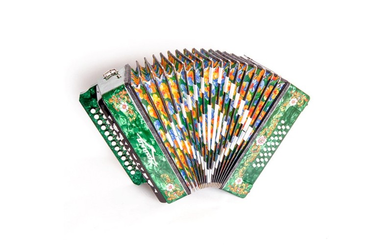 Шуйская Гармонь S6XLY-A-GR Гармонь 