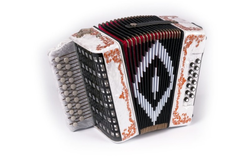 Шуйская гармонь SZ48/1ХL-A-WH Гармонь «Чайка» 21х12-II, белая, ля мажор, роспись