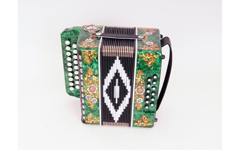 Шуйская Гармонь SZ48XL-C-GR Гармонь «Чайка» 19х12-II, зеленая, до мажор, роспись